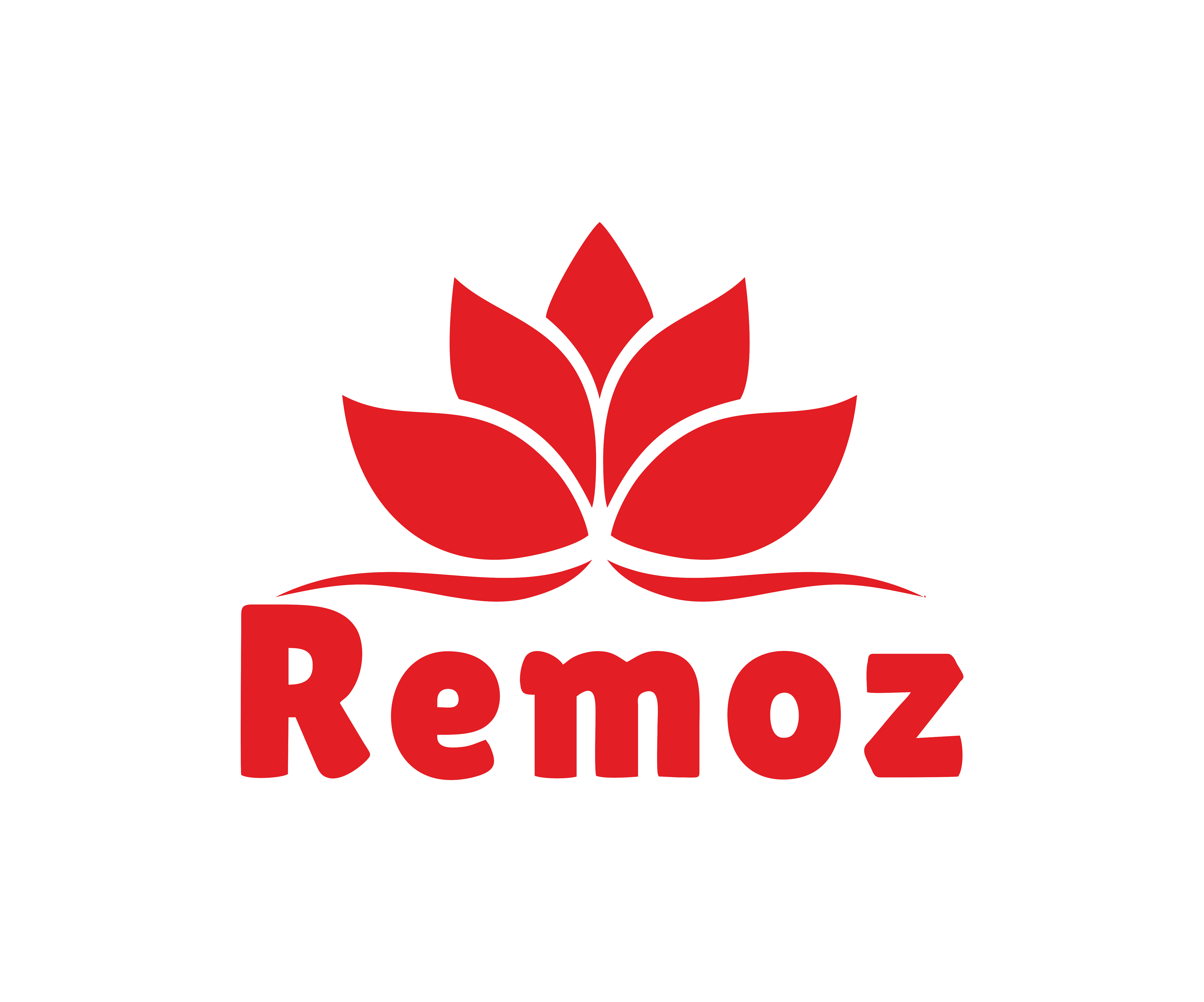 Remoz Eleganz Logo